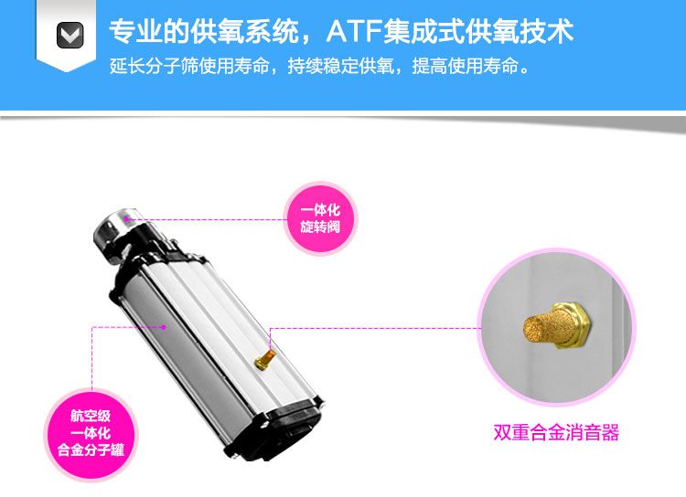 爱尔泰制氧机AT-1采用原装进口分子筛确保氧分离更纯净。