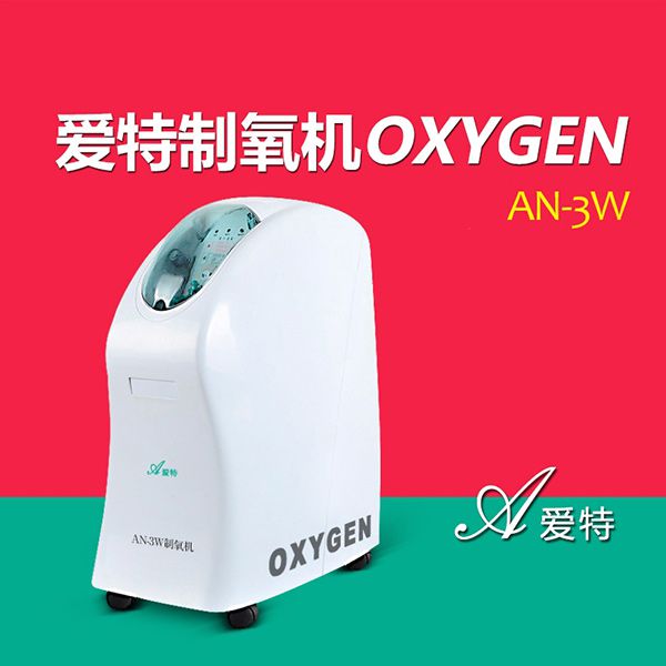 爱特制氧机AN-3W